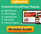 Best WordPress Coupon Theme You Always Wanted To Earn More